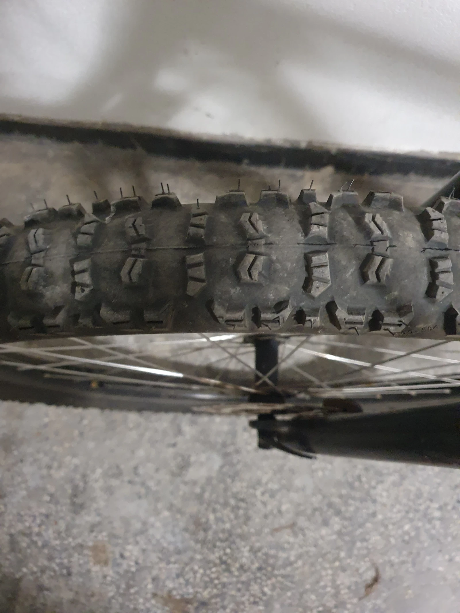 ������� | Mobile.bg � ����������� 5