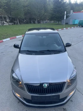Skoda Fabia Monte-Carlo | Mobile.bg    15