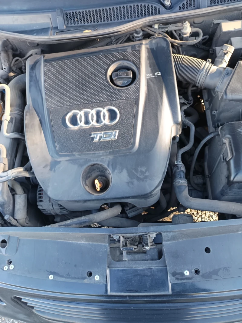 Audi A3 1.9 TDI, снимка 9 - Автомобили и джипове - 48100959