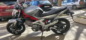 Suzuki SFV 650 GLADIUS 