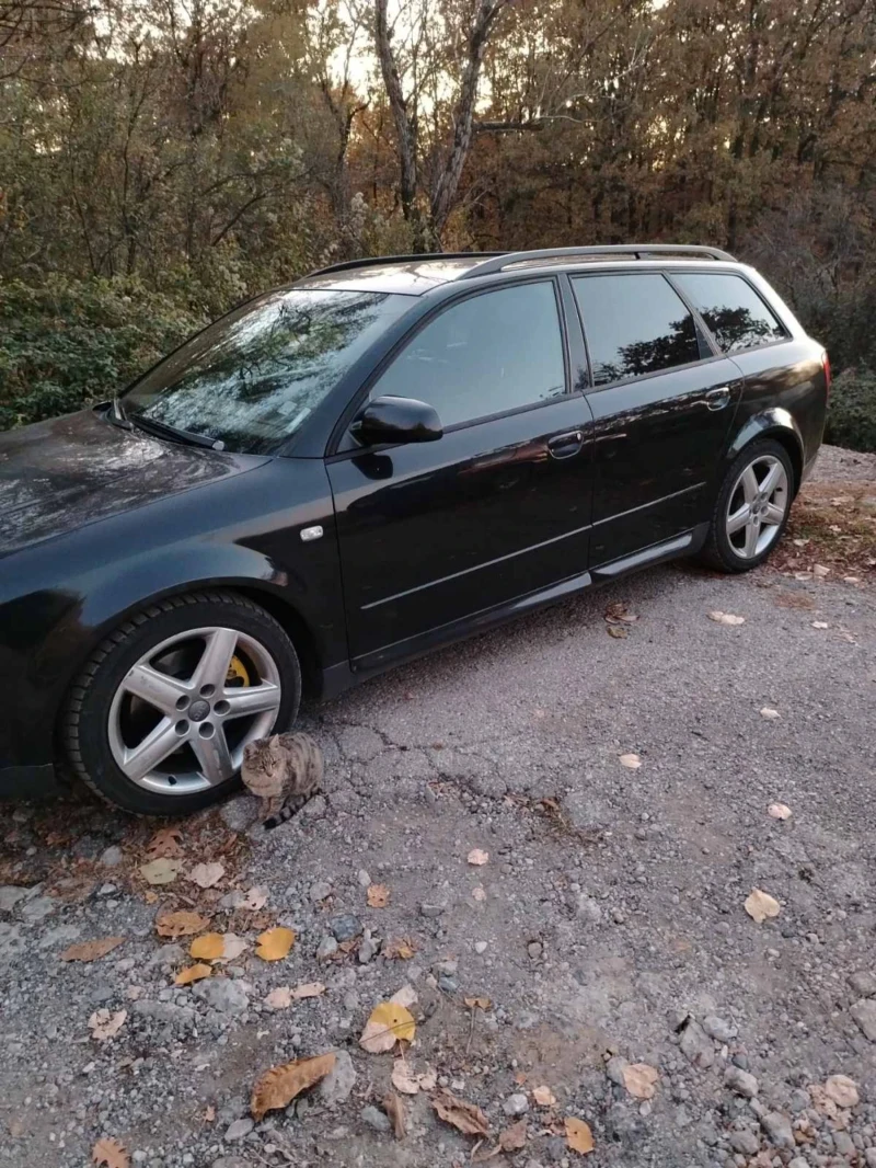 Audi A4 2.5tdi, снимка 10 - Автомобили и джипове - 48349257