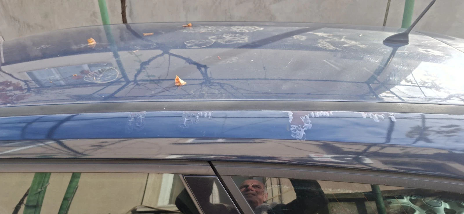 Ford Focus Titanium  | Mobile.bg � ����������� 14