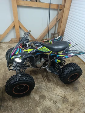 Yamaha Raptor 250, снимка 6