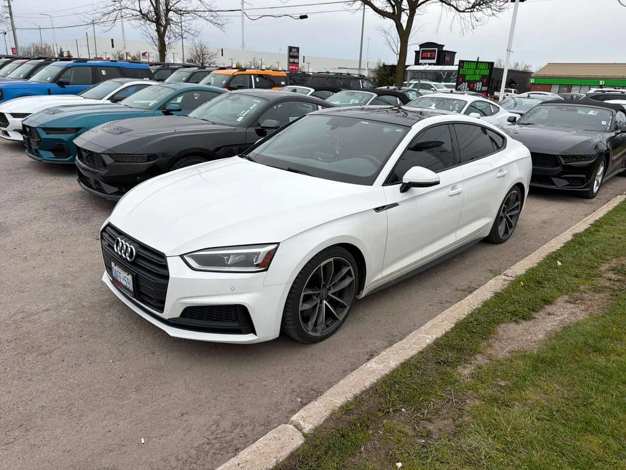 Audi S5 * Technik * 360 * DIGITAL * ЛИЦЕНЗИРАН ДИЛЪР, снимка 10 - Автомобили и джипове - 54529091