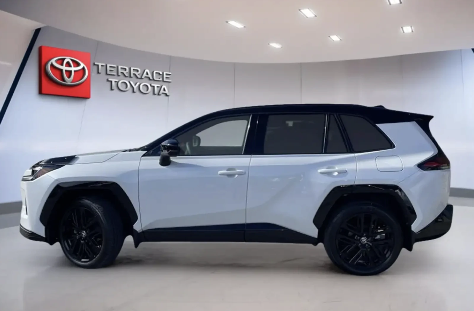 Toyota Rav4 XSE /ОБДУХВАНЕ/ШИБИДАХ/ДИСТРОНИК/360 КАМЕРИ, снимка 2 - Автомобили и джипове - 56046231