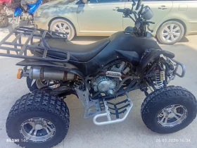 Shineray XY, снимка 12