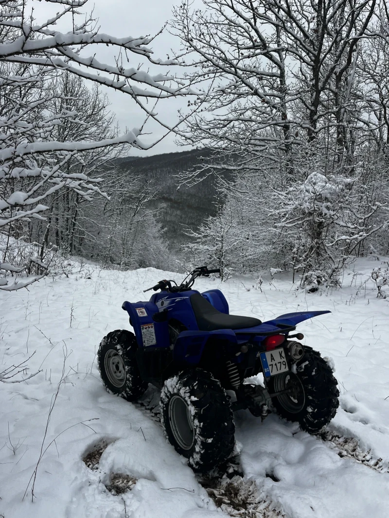 Yamaha Wolverine 450, снимка 3 - Мотоциклети и мототехника - 53358279