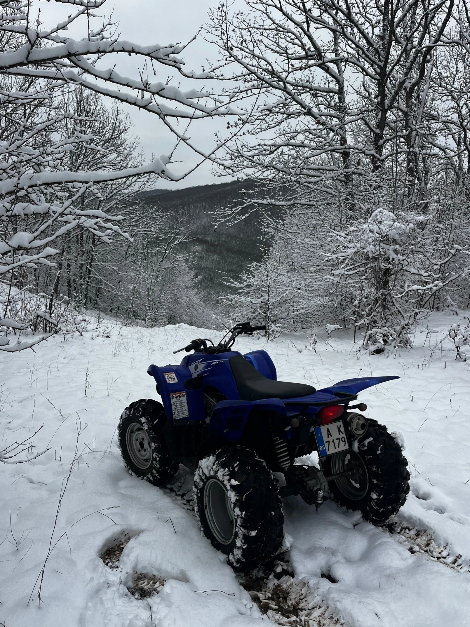 Yamaha Wolverine 450 - изображение 3