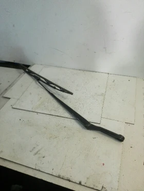 ����� �� �������� �� ���� �������� ���� ����� ������ ����