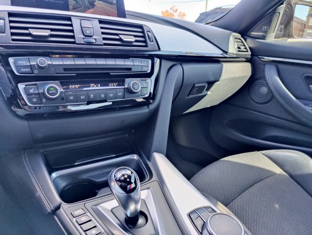 BMW M4 CARBON - изображение 10