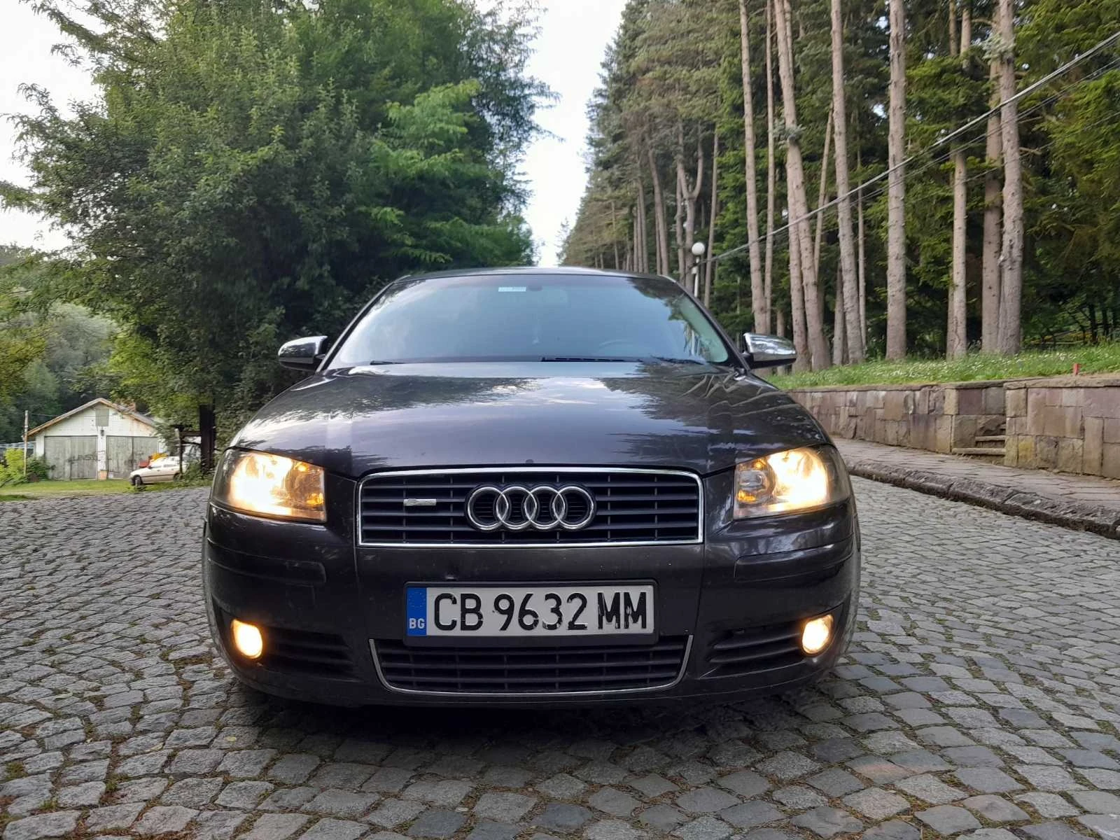 Audi A3 2.0 TFSI  QUATTRO  - изображение 6