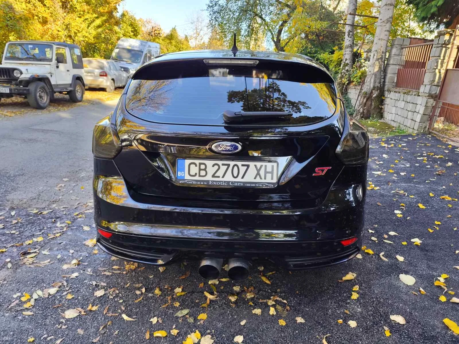 Ford Focus ST - изображение 9