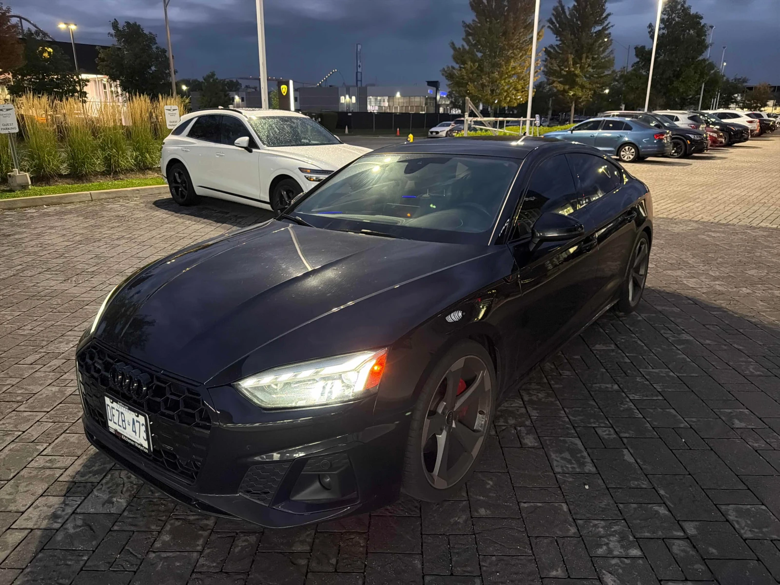 Audi A5 * Progressiv * CARFAX * ��� ������������ ������ | Mobile.bg � ����������� 1