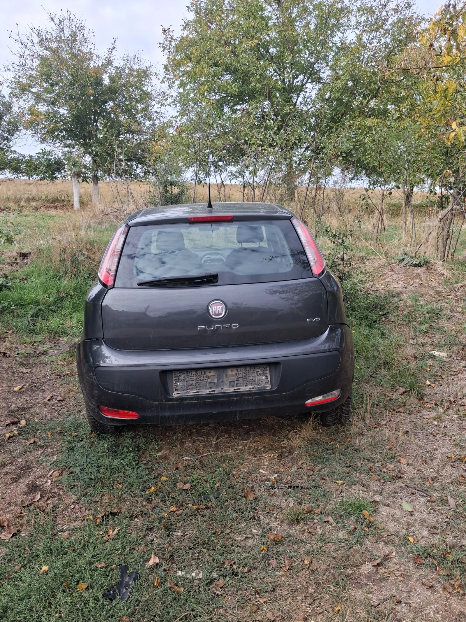 Fiat Punto, снимка 4 - Автомобили и джипове - 56542513