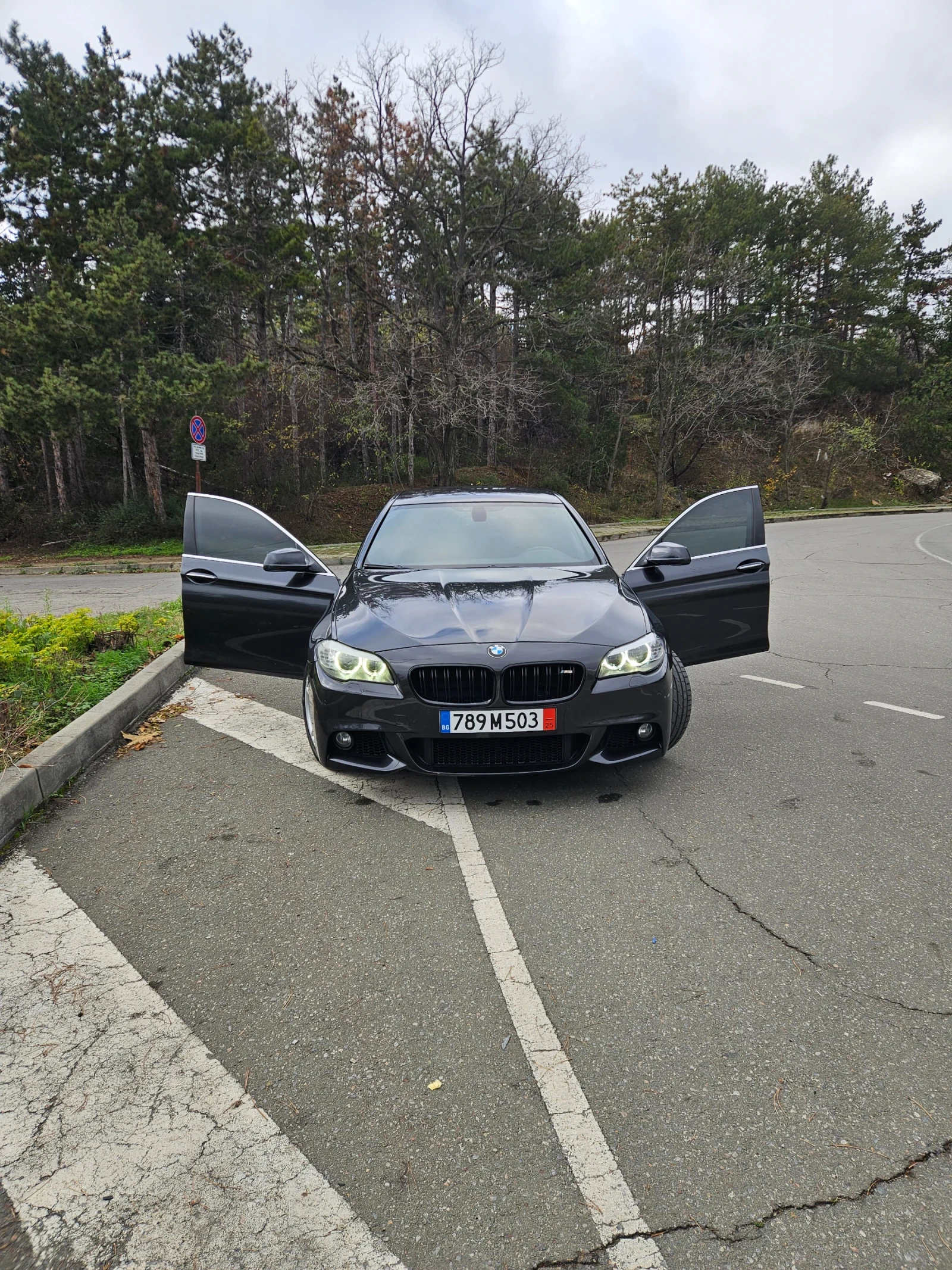 BMW 530 530d 258kc 4x4, снимка 1