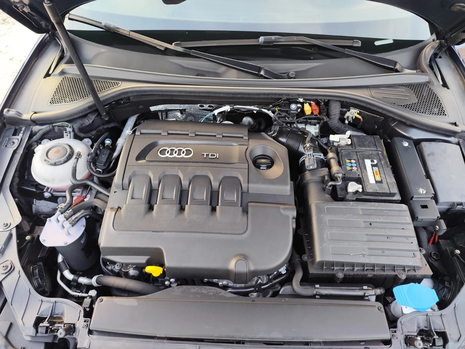 Audi A3 1.6 дизел РЕАЛНИ КЛ., снимка 16 - Автомобили и джипове - 53747145