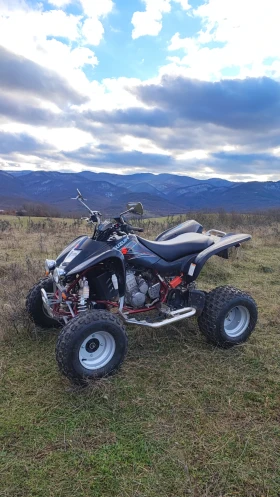 Suzuki QuadSport, снимка 1