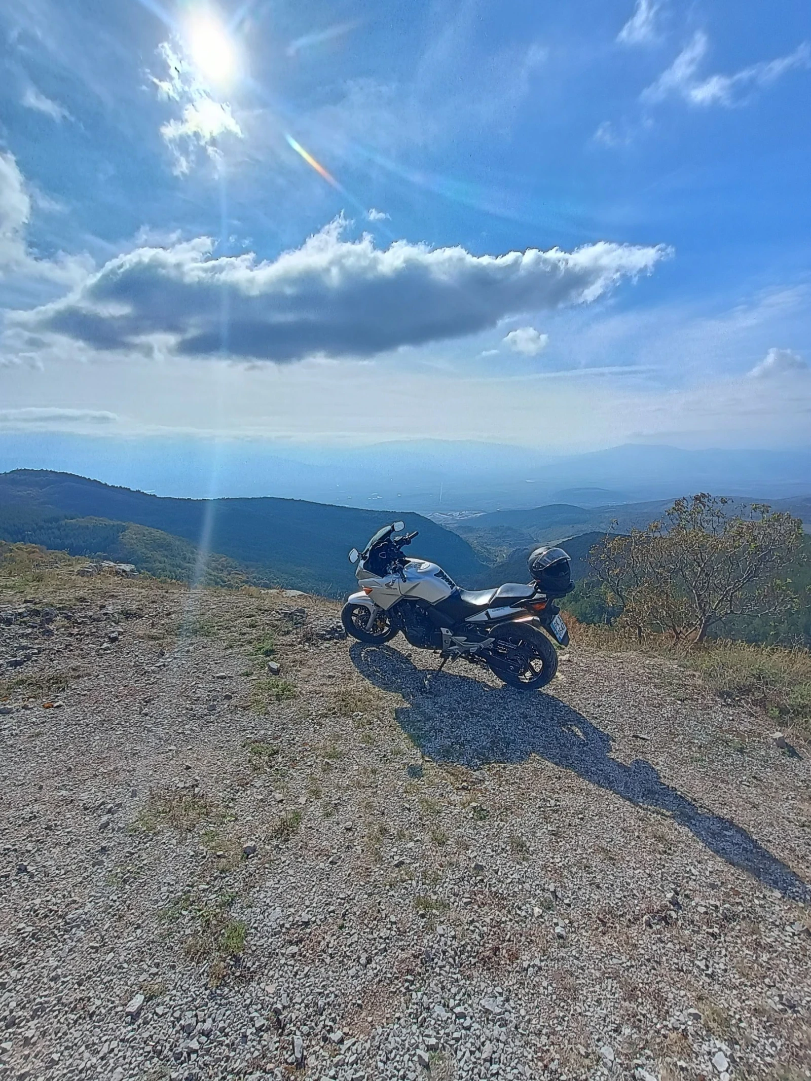 Honda Cbf 600 - изображение 7