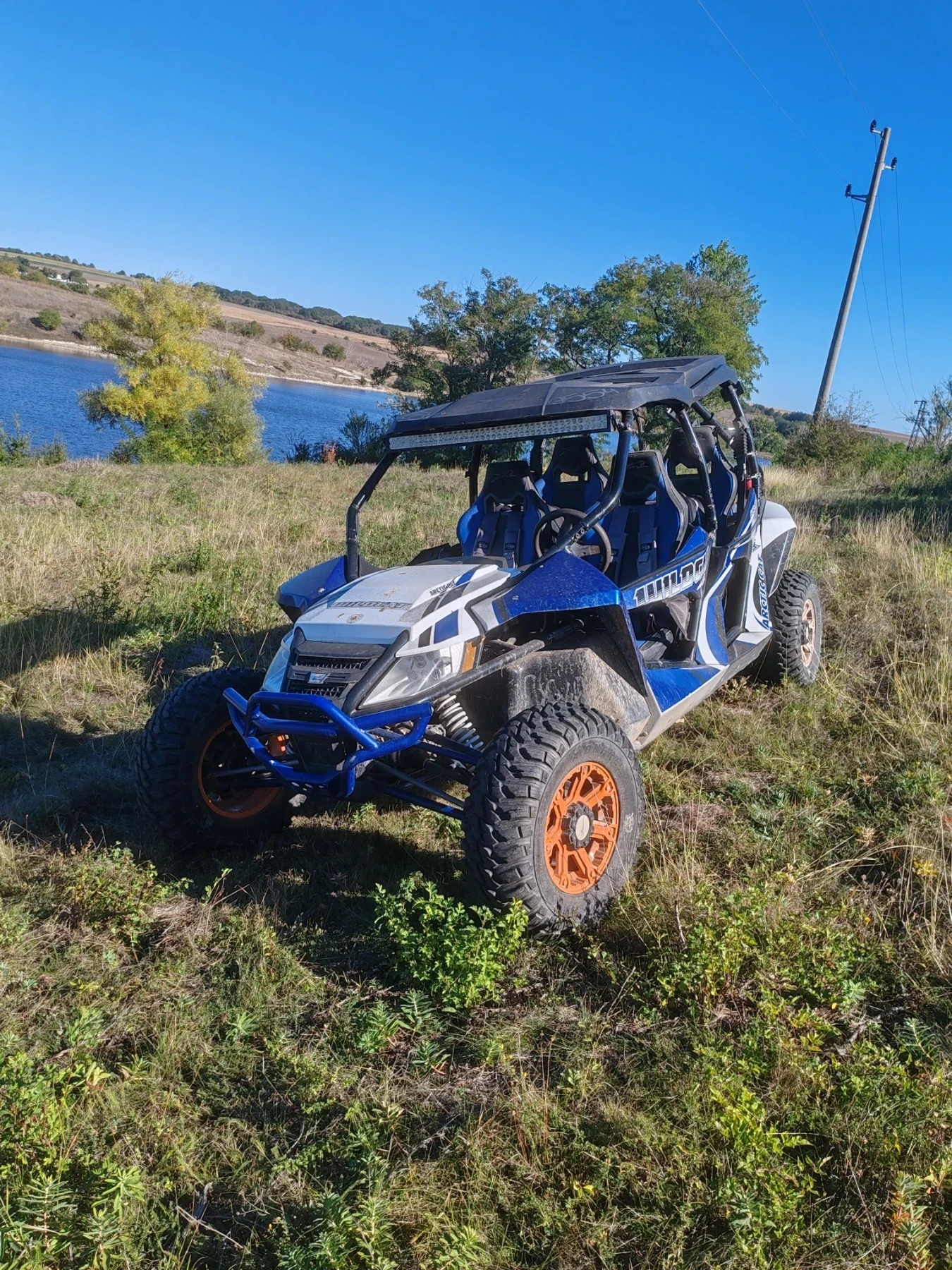 Arctic Cat Wildcat