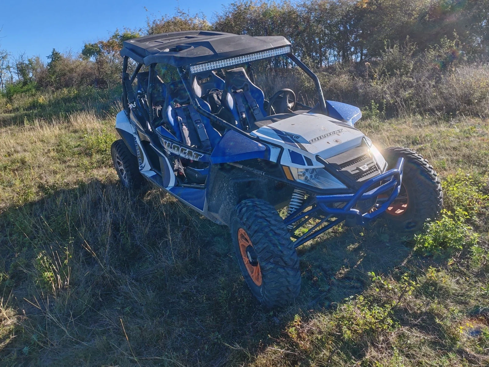 Arctic Cat Wildcat, снимка 2 - Мотоциклети и мототехника - 56375822