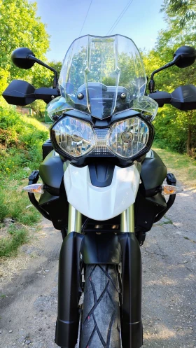  Triumph Tiger