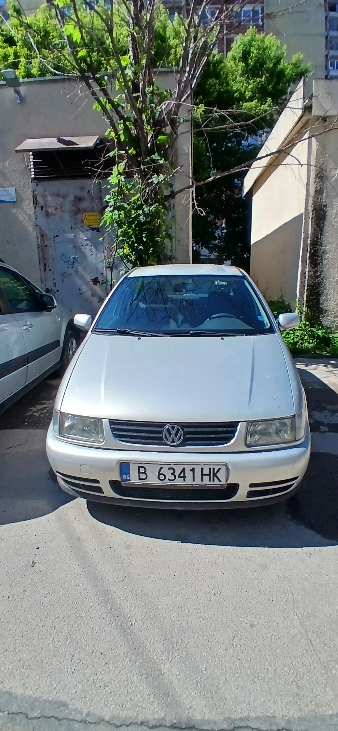 VW Polo