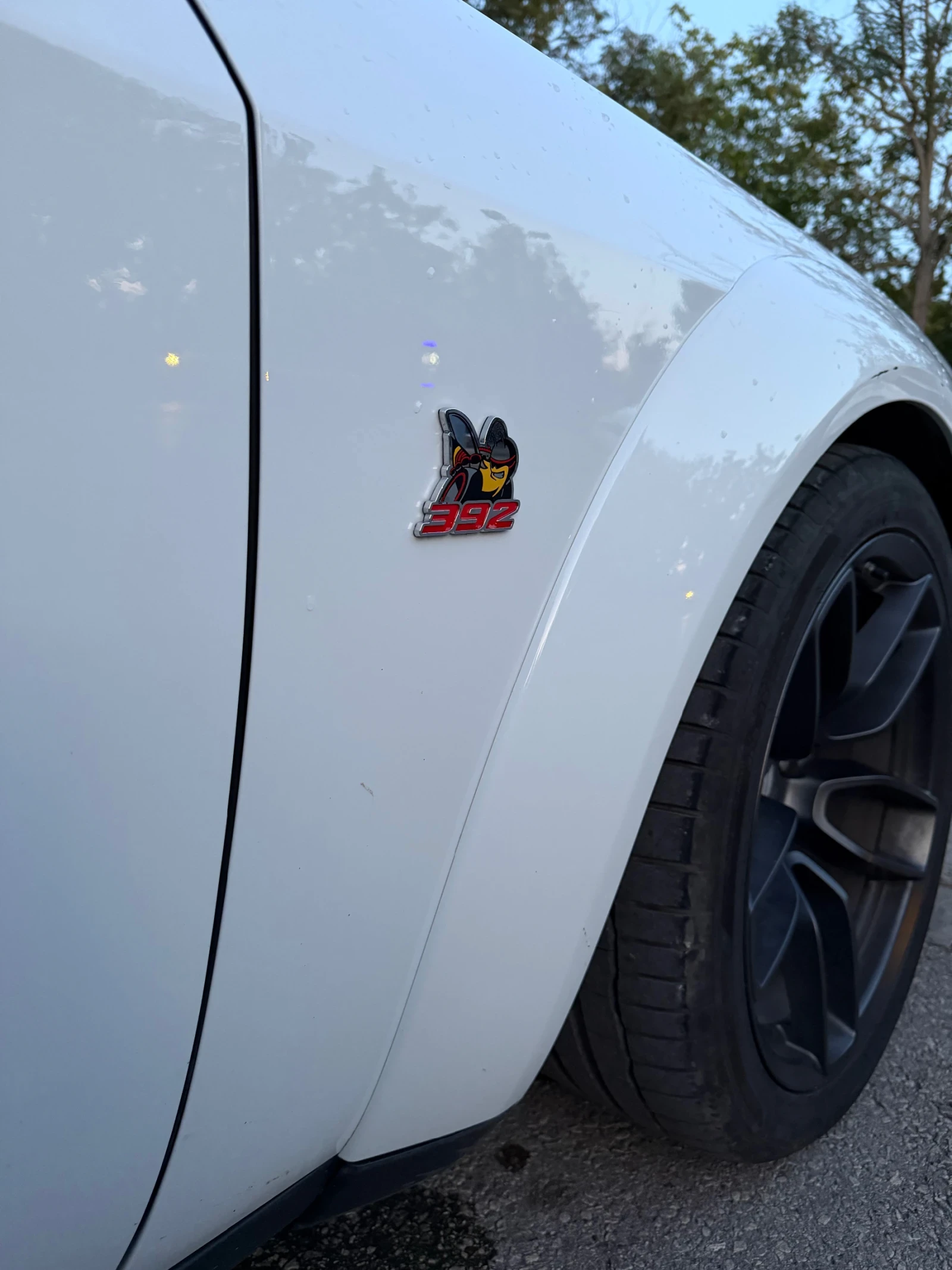 Dodge Challenger WIDEBODY R/T SCAT PACK 6.4 HEMI, снимка 10 - Автомобили и джипове - 56231229
