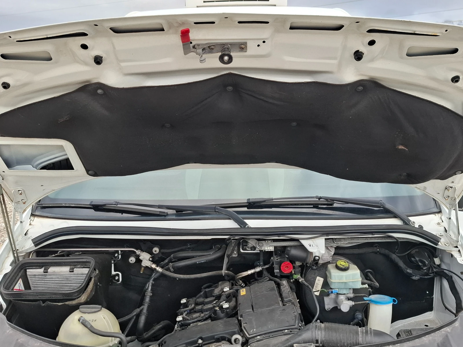 Mercedes-Benz Sprinter 316 Maxi/Euro5/�����/��������/����� | Mobile.bg � ����������� 11