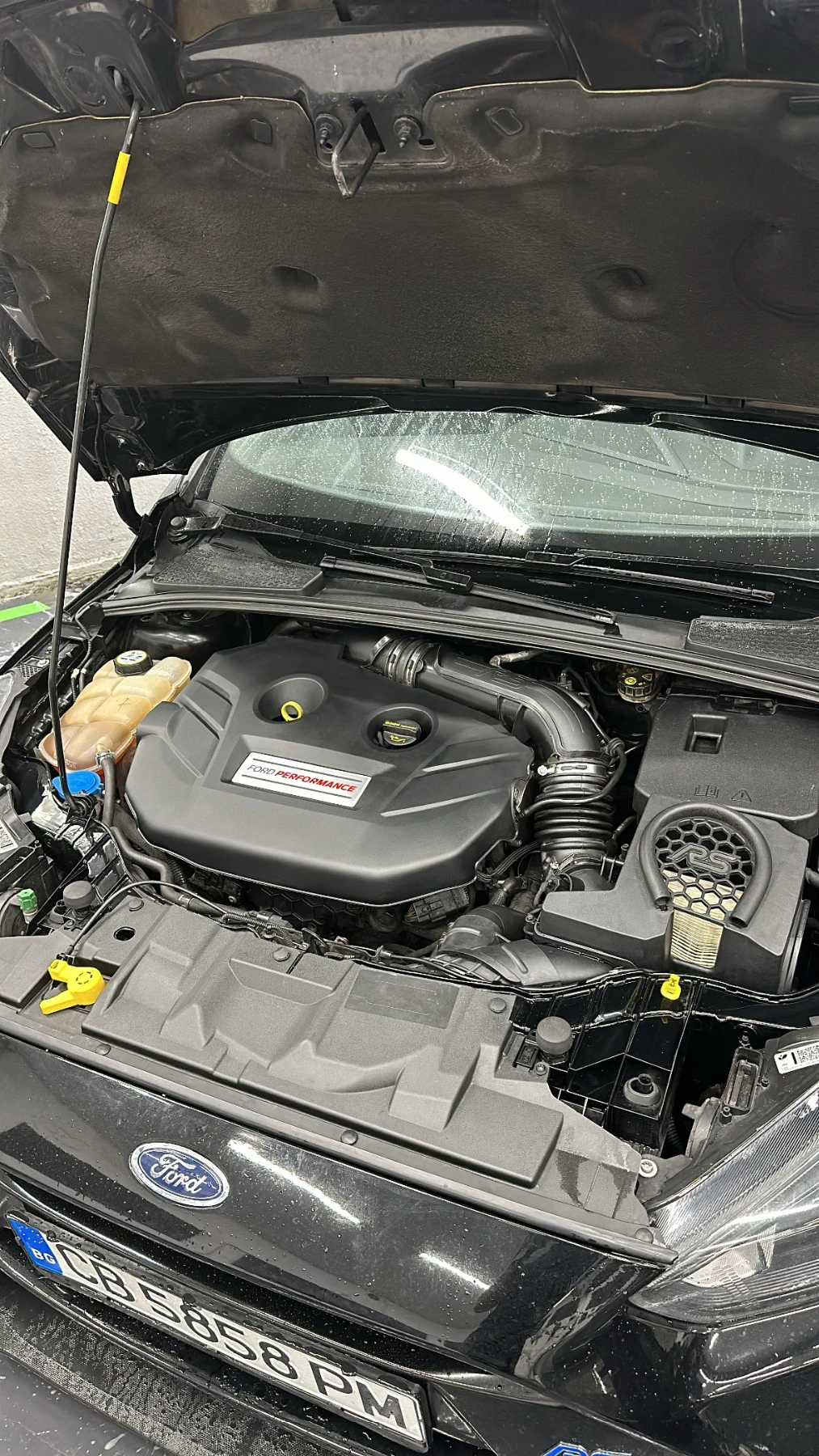 Ford Focus RS, снимка 12 - Автомобили и джипове - 54894617