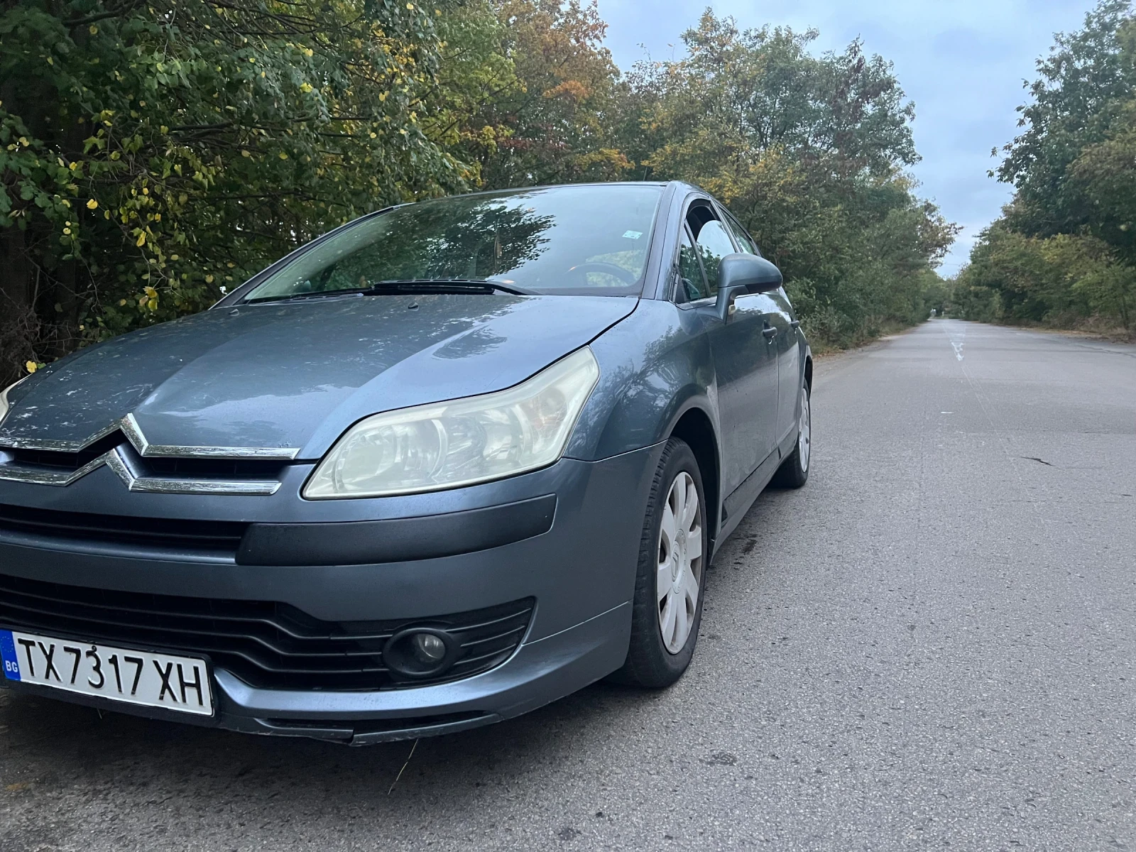 Citroen C4, снимка 3 - Автомобили и джипове - 56623099