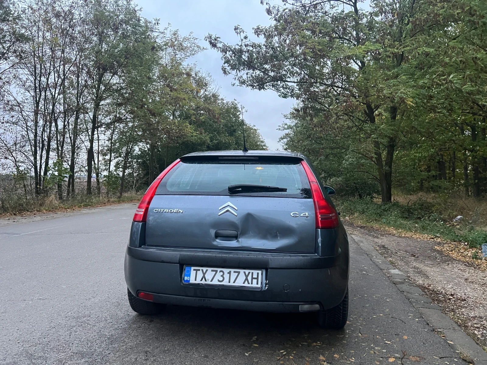 Citroen C4, снимка 5 - Автомобили и джипове - 56623099