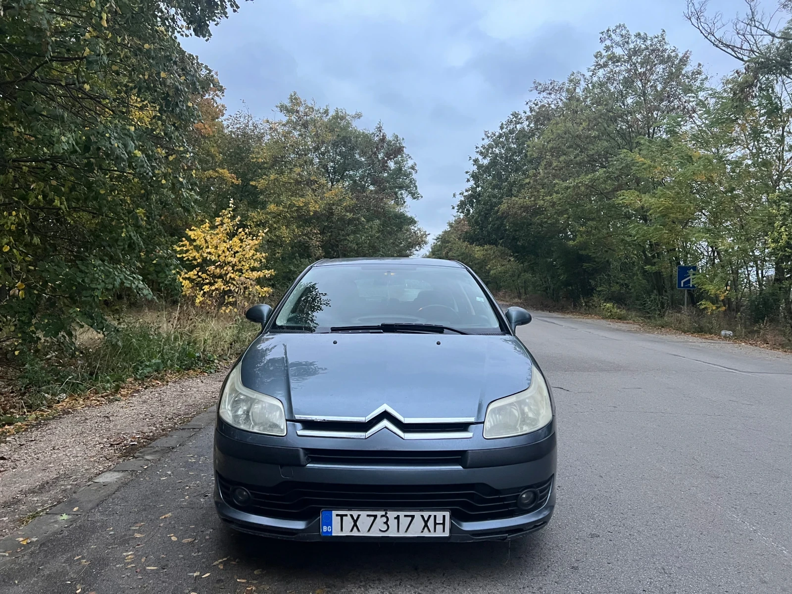 Citroen C4, снимка 2 - Автомобили и джипове - 56623099