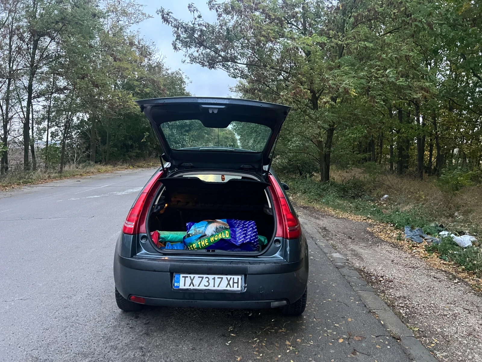 Citroen C4, снимка 13 - Автомобили и джипове - 56623099