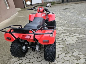 Arctic Cat Dvx 250, снимка 9
