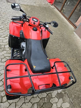 Arctic Cat Dvx 250, снимка 5