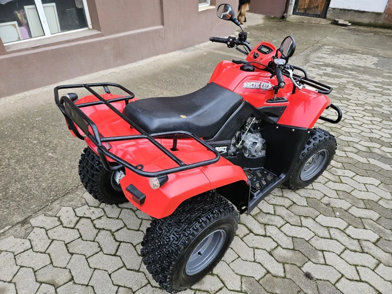 Arctic Cat Dvx 250, снимка 10 - Мотоциклети и мототехника - 53344600