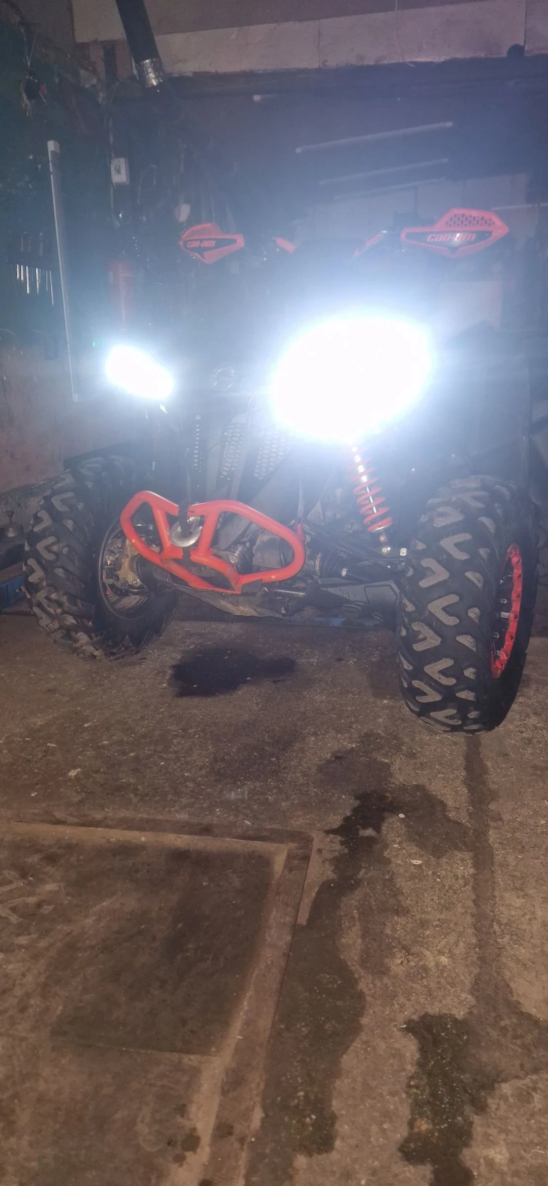 Can-Am Renеgade 1000 R  - изображение 4