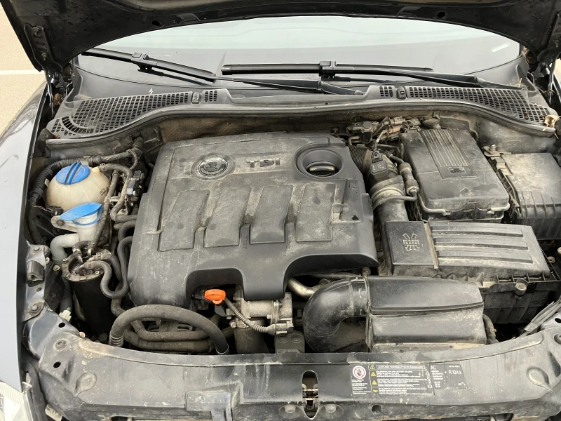 Skoda Octavia, снимка 11 - Автомобили и джипове - 53486935