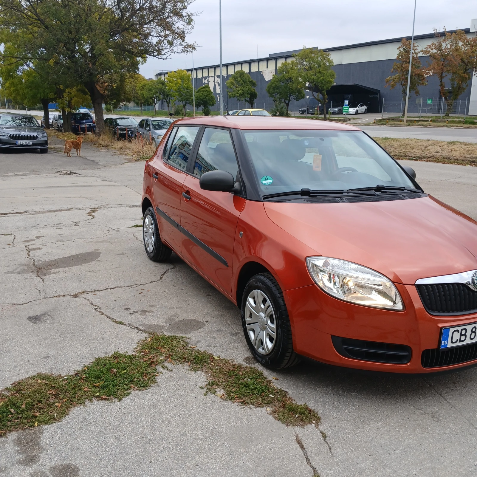 Skoda Fabia, снимка 8 - Автомобили и джипове - 56562805