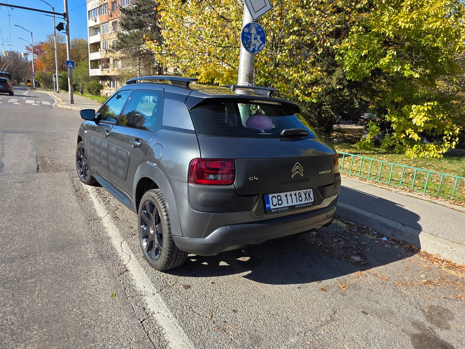Citroen C4 Cactus  - изображение 4