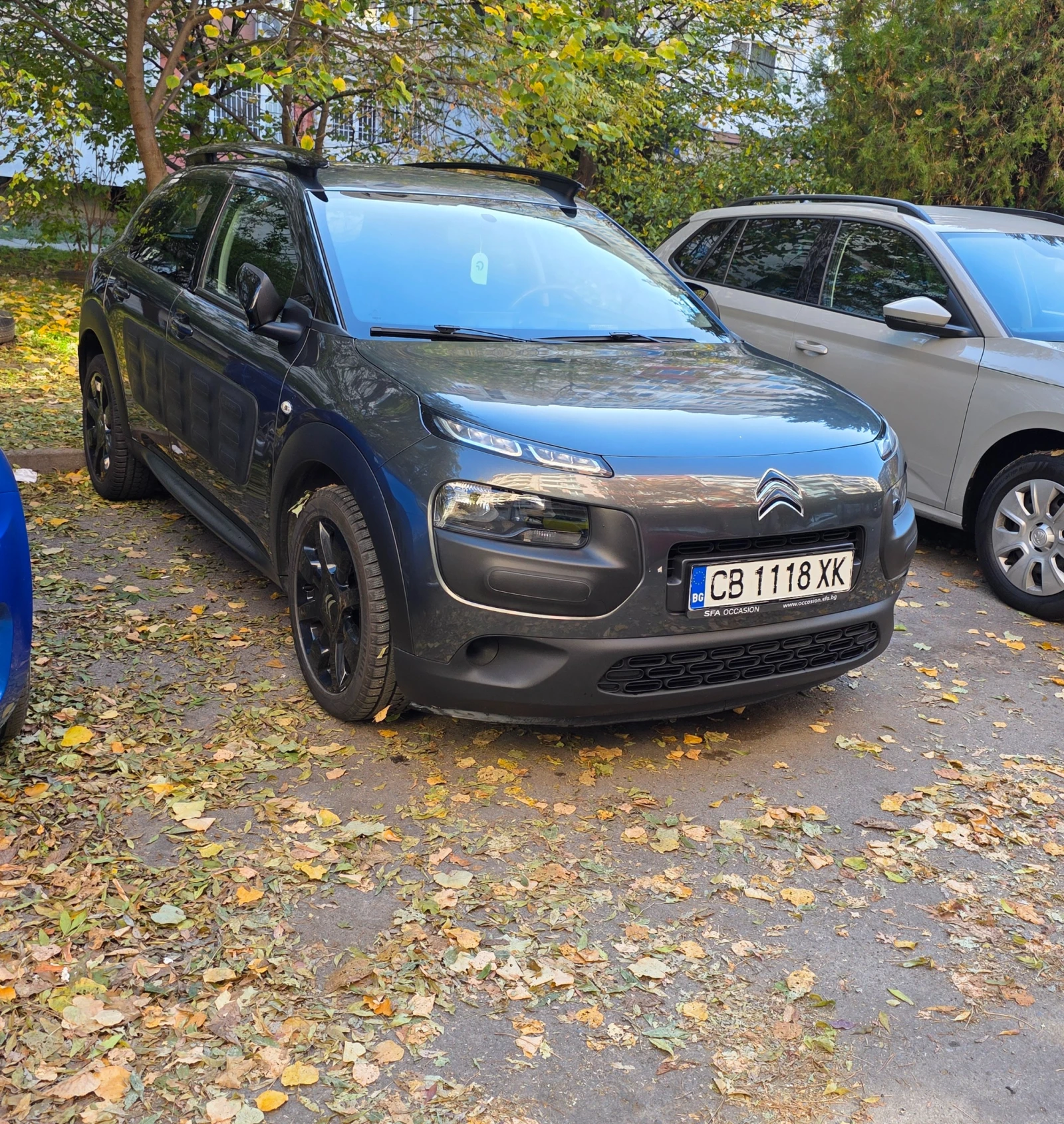 Citroen C4 Cactus  - изображение 9