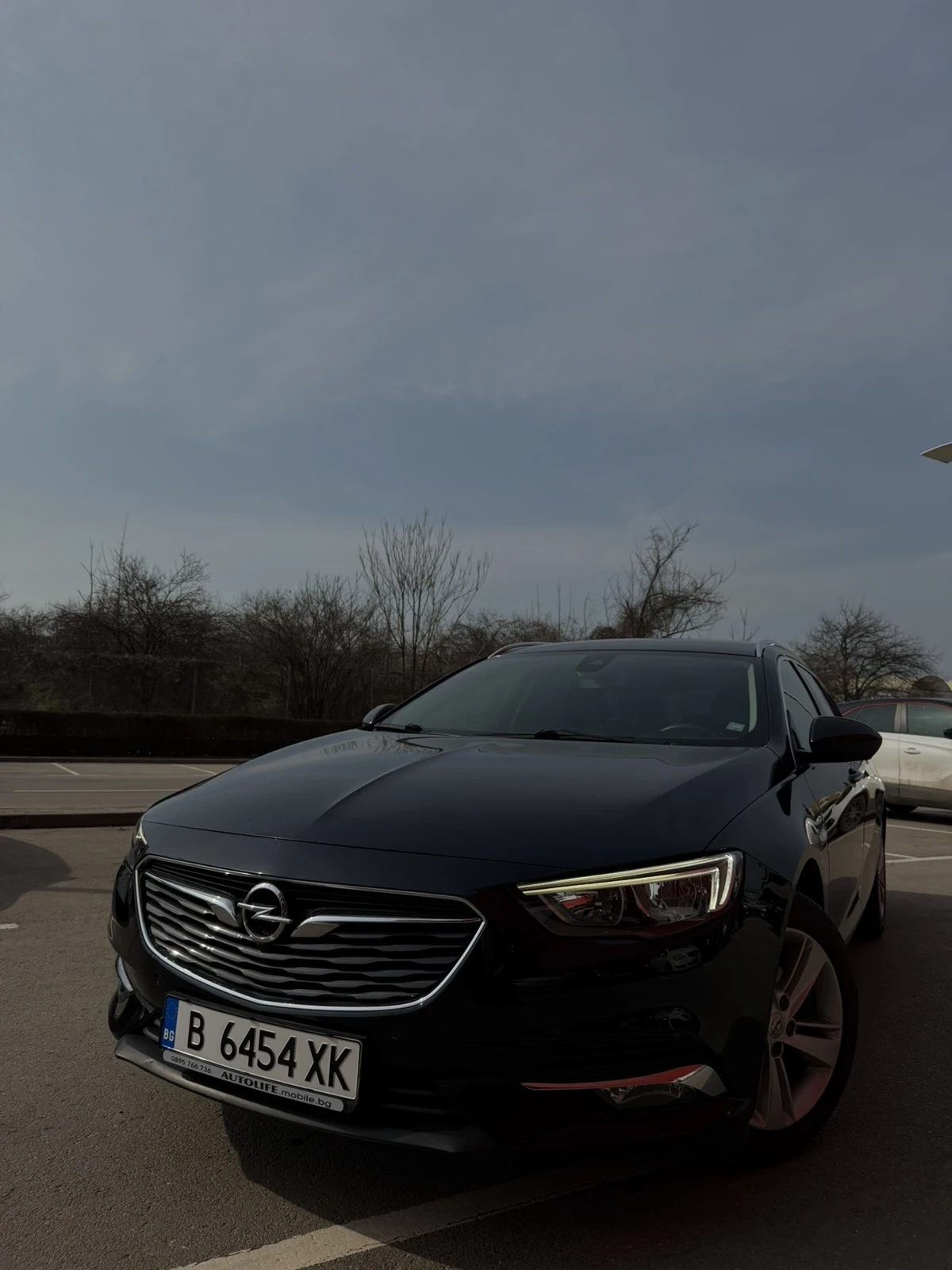 Opel Insignia, снимка 3 - Автомобили и джипове - 53725409