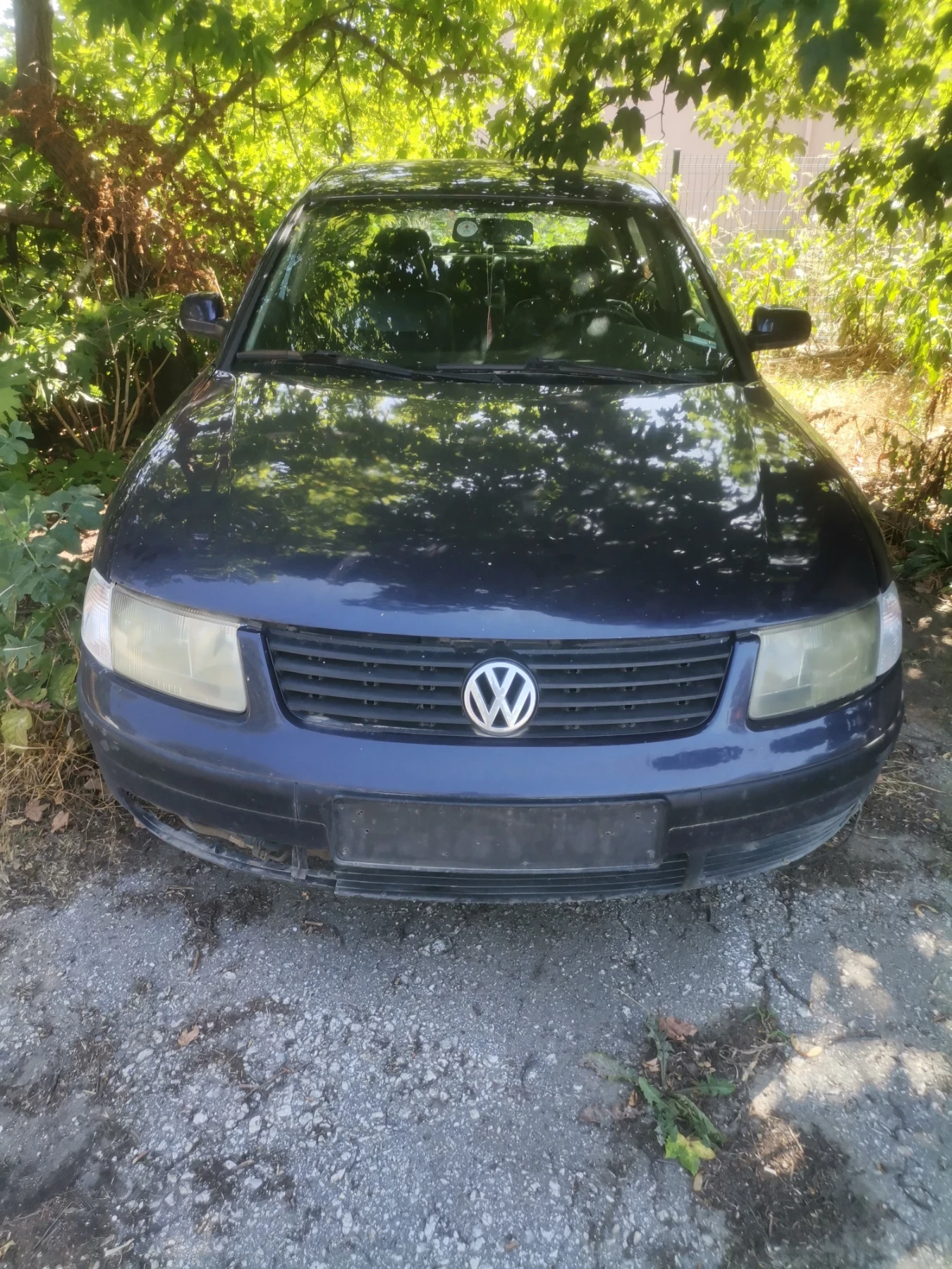 VW Passat