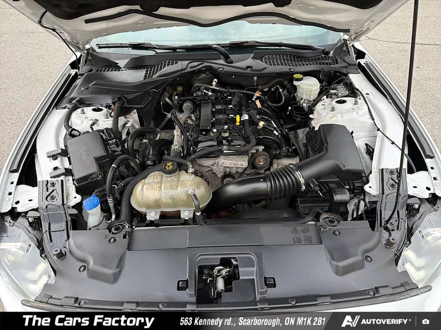 Ford Mustang, снимка 10 - Автомобили и джипове - 56020916