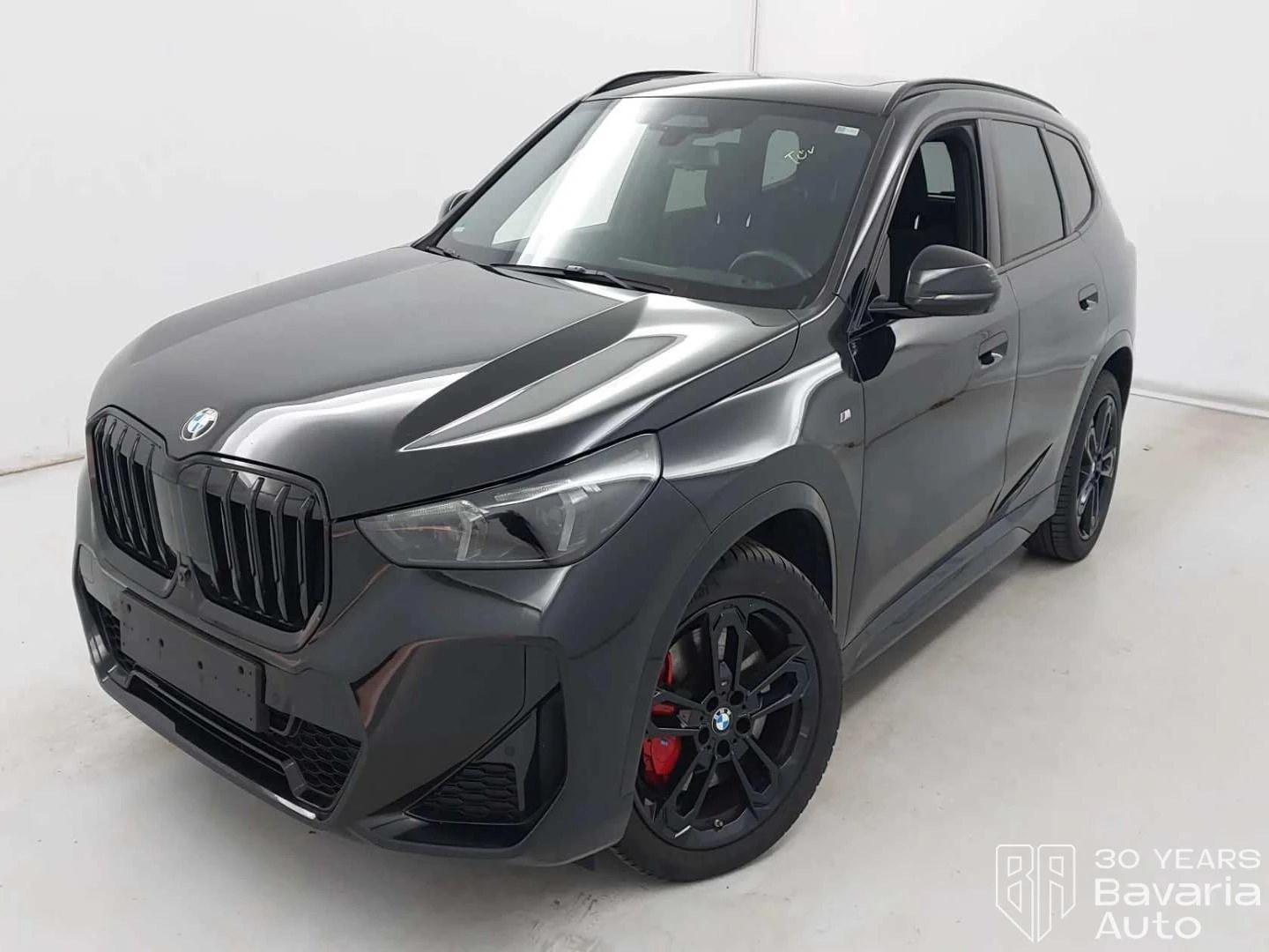 BMW X1 23d xDrive M Sport Paket Steptronic