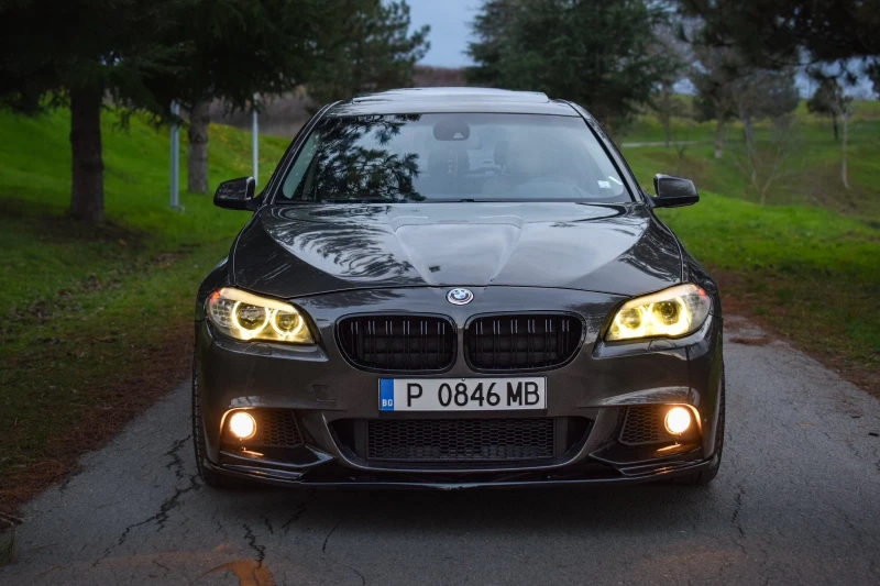 BMW 525 ПАМЕТ/ПОДГРЕВИ/LOGIC7/ШИБИДАХ, снимка 5 - Автомобили и джипове - 52654914