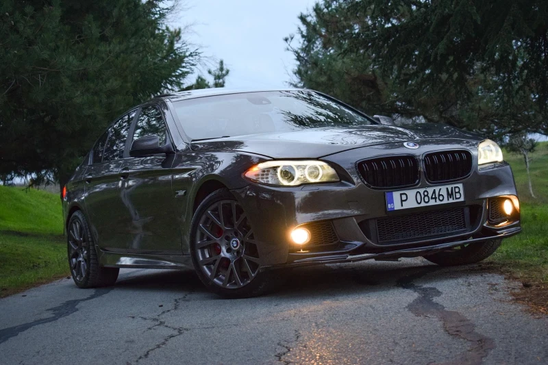 BMW 525 ПАМЕТ/ПОДГРЕВИ/LOGIC7/ШИБИДАХ, снимка 3 - Автомобили и джипове - 52654914