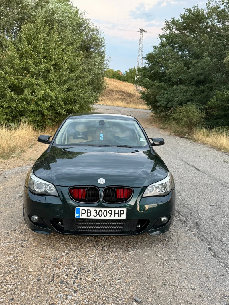 BMW 530, снимка 9 - Автомобили и джипове - 53049542