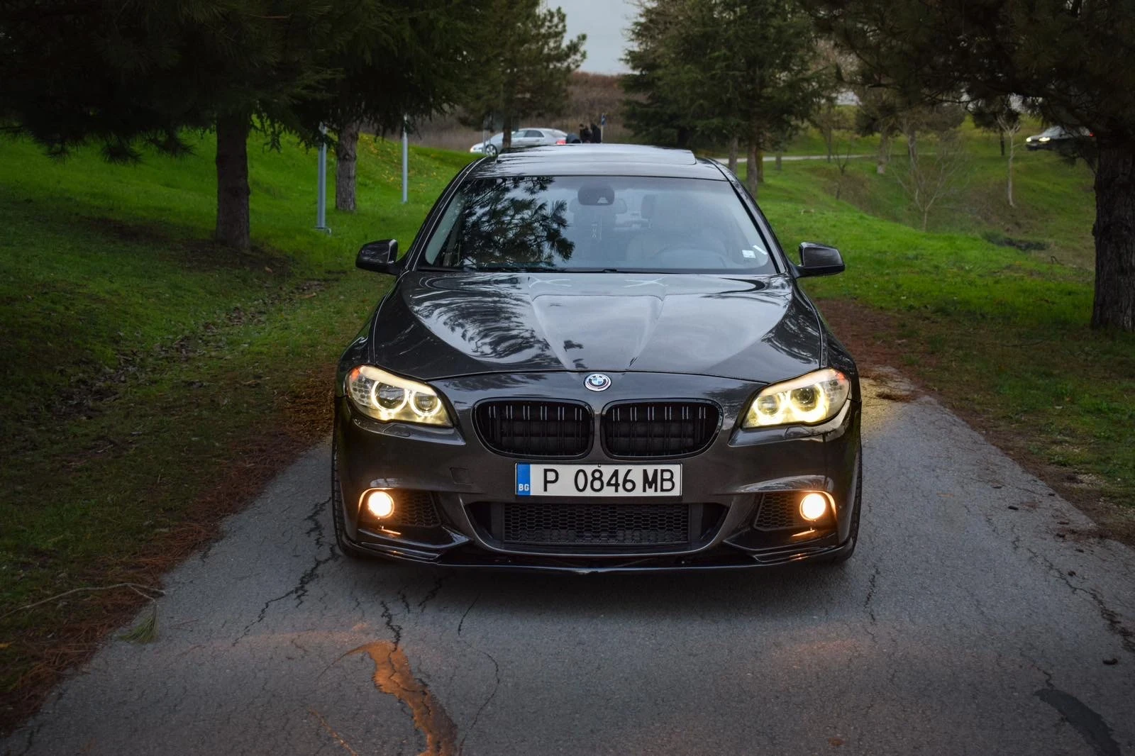 BMW 525 ПАМЕТ/ПОДГРЕВИ/LOGIC7/ШИБИДАХ - изображение 4