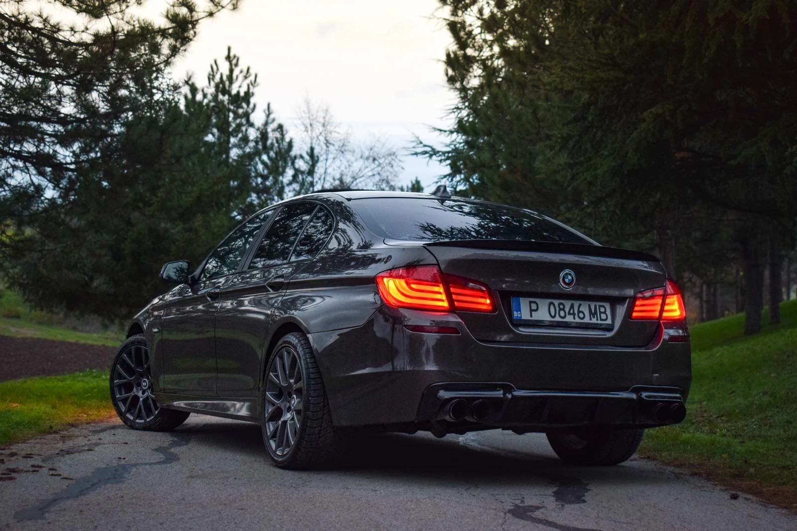 BMW 525 ПАМЕТ/ПОДГРЕВИ/LOGIC7/ШИБИДАХ - изображение 6